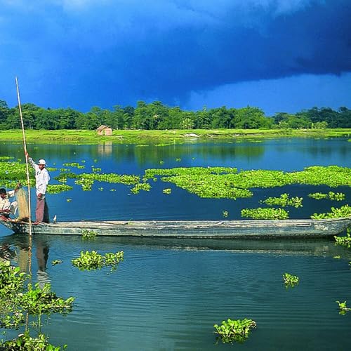 Majuli: The world's largest River Island and Assam's best kept secret