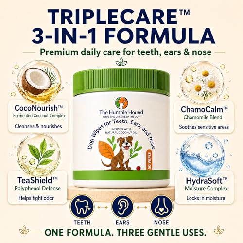Image of 3-in-1 Dog Dental Wipes - Finger Wipes for Teeth, Ears & Snout Infused with Coconut Oil | Promotes Fresh Breath, Tartar Control & Daily Hygiene | Gentle Grooming Wipes for All Dogs - 50 Count