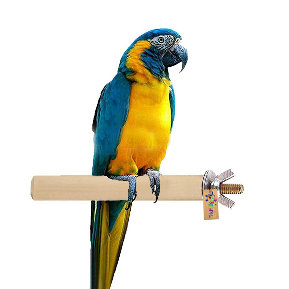 Western Era Perch/Stand Bird Toy (Large Birds) (12 Inches) (B081RFRD5F) Amazon Price History, Amazon Price Tracker