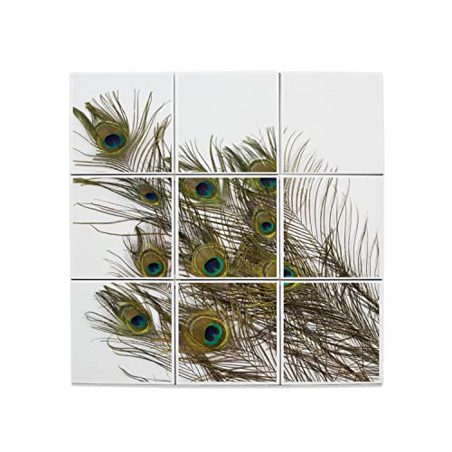 Carreaux Céramique Plumes de Paon 15,2x15,2 cm lot de 9 pour décoration murale élégante salon