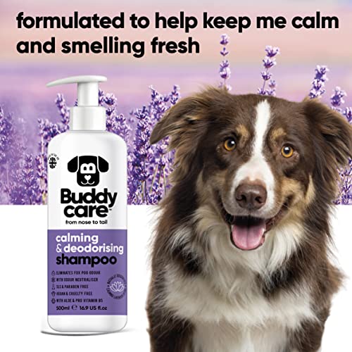 Beruhigendes & desodorierendes Shampoo von Buddycare - Lavendelduftendes Hundeshampoo - Mit Aloe Vera und Pro-Vitamin B5 (500ml)