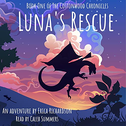 Get Lost In This Immersive Full Audiobook — Perfect At Home.