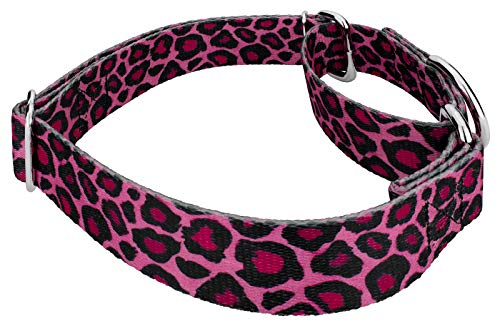 Country Brook Design Pink Leopard Martingale Collar and Leash Set #TOP2