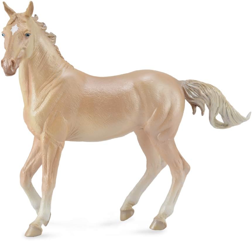 Collecta