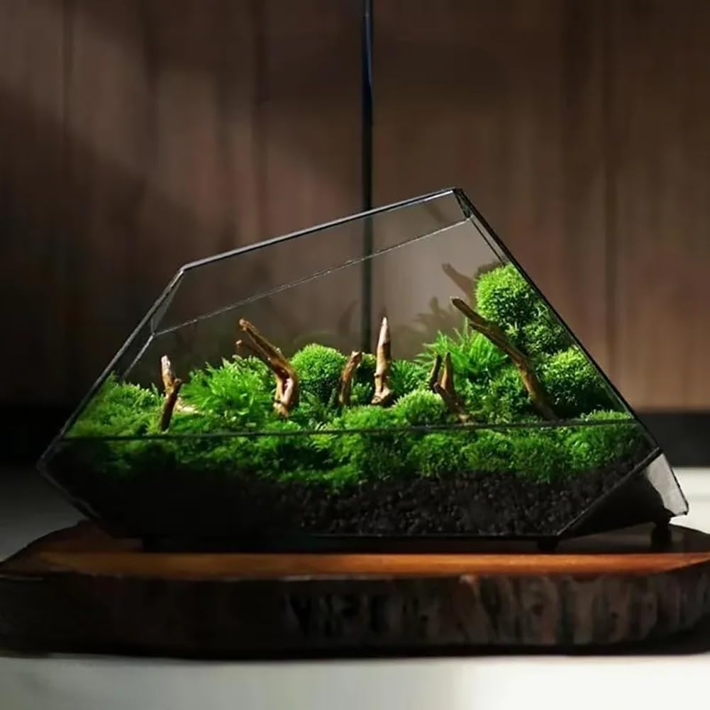 Terrario De Vidrio para Suculentas, Air S Interior Greenhouse Terrario De Vidrio como Decoración, Terrario Geométrico Moderno para Jardín En Miniatura, Hogar, Oficina, Decoración Superior