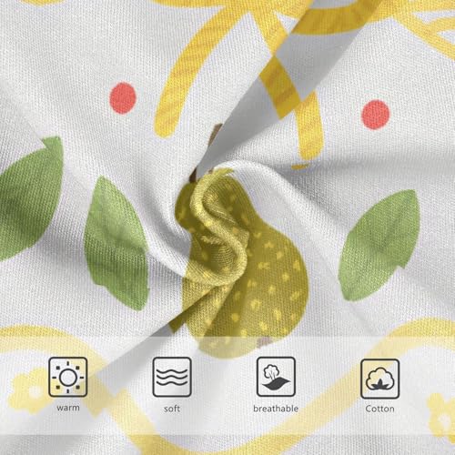 GuoChe Panties Underwear Moisture Wicking Comfort Underwear for Toddlers in Sizes 2T,3T, 4T, 5T, 6Y and 8Y3