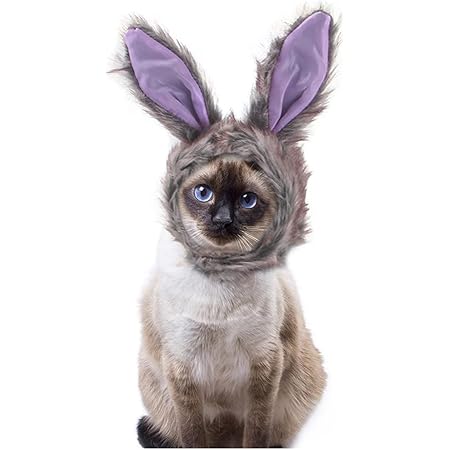 Amazon 猫 犬 帽子 被り物 キャップ ウサギのかぶりもの ウサギコスプレ 犬 猫 服 頭飾り ヘッドギア かわいい おもしろグッズ 着ぐるみ コスチューム 変身 ふわふわ 暖かい 防寒 23年 干支 卯年 兎 撮影 小物 年賀状 ペット用品 Sunmelory