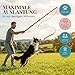 HUND IST KÖNIG Reizangel für Hunde - Profi Hundeangel für ultimativen Spielspaß & körperliche Auslastung - inkl. 2 Tauen + Ersatzseil + eBook - robust & leicht, Reizangel-Hunde große & kleine