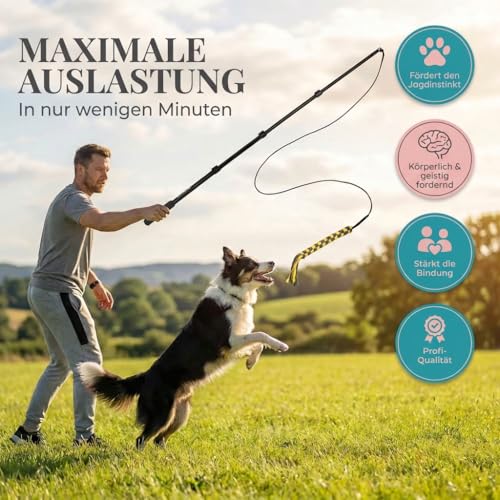 HUND IST KÖNIG Reizangel für Hunde - Profi Hundeangel für ultimativen Spielspaß & körperliche Auslastung - inkl. 2 Tauen + Ersatzseil + eBook - robust & leicht, Reizangel-Hunde große & kleine