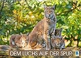 Autor(in): CALVENDO Verlag Dem Luchs auf der Spur (Wandkalender 2022 DIN A3 quer)