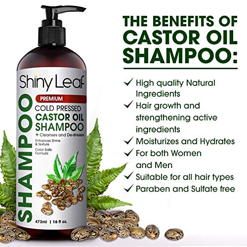 Castor Oil Shampoo and Conditioner For Hair Growth, With Organic Castor Oil, Sulfate Free, Curly Hair Approved, Safe for Color Treated Hair, Repair Hair Damage 16 Fl. Oz. - Thumbnail 5