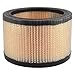 Air Filter, 6 x 3-7/8 in.