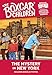 The Mystery in New York (The Boxcar Children Special, No. 13)