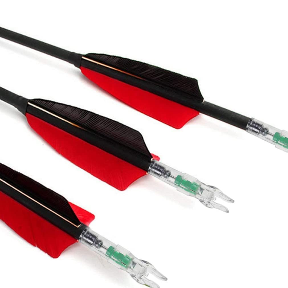 Encoches Lumineuses LED pour flèches, en Plastique, pour l'archerie. Lot de 12 encoches Lumineuses de Couleur aléatoire.