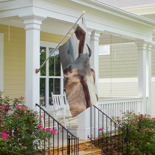 Drapeau de jardin chèvre décoratif pour extérieur et cour - 6