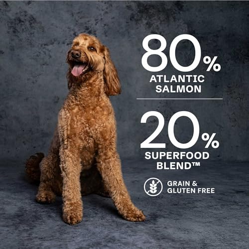 AATU Trockenfutter für Hunde, 80/20 Hundetrockenfutter mit Hühnerfleisch, Hundefutter Getreidefrei mit Hohem Proteingehalt, Natürliche Tiernahrung für Ausgewachsene Hunde Aller Rassen, 1,5 kg