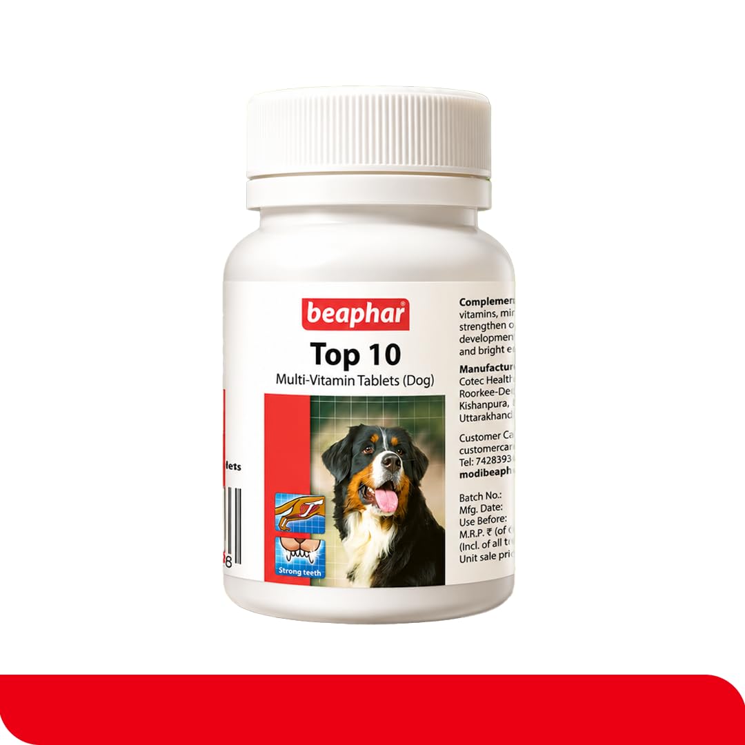 Beaphar Top 10 Multi-Vitamin Tablets for Dogs | 60 Tablets | Improves Overall Vitality and Internal Strength — Amazon image 2