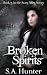 Broken Spirits (The Scary Mary Series Book 3)