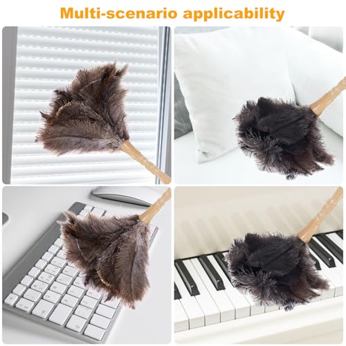 Image of Genuine Ostrich Feather Duster 15 inch