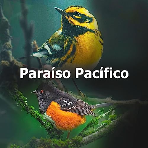 Collen Rudio Amazon.com: Paraíso Pacífico : El Rudio Blanco: Digital Music
