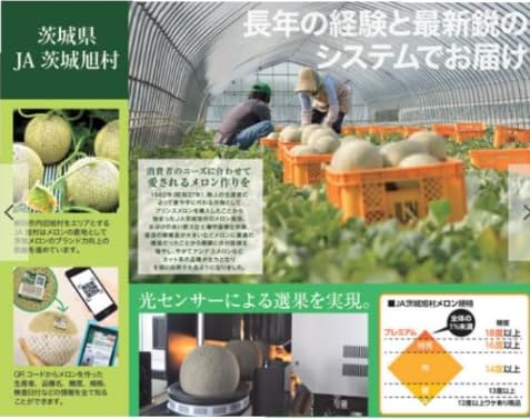 Amazon.co.jp: 糖度18度以上 JA茨城旭村 クインシーメロン 【極特秀