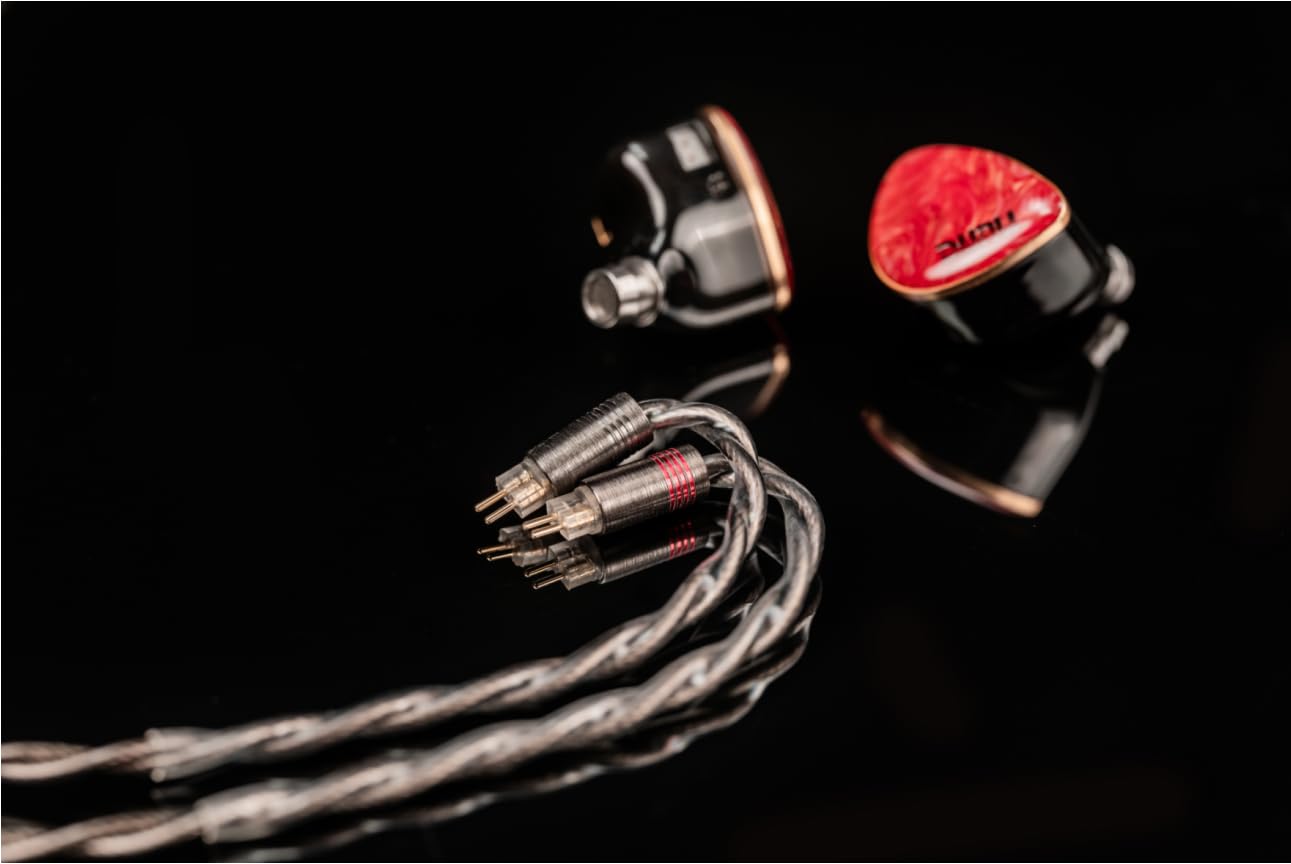 Fanmusic Dunu DN242 In-Ear-Kopfhörer, kabelgebunden, HiFi-IEM-Kopfhörer mit 2DD 4BA + 2 Planar 8-Treiber-Treibern, 0,78 mm, 2-poliges Premium-Kabel (Standard-Version)