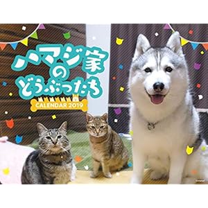 ハマジ家のどうぶつたち カレンダー2019 卓上型 ([カレンダー])