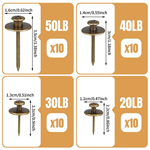 Image of Zhengmy 40 Pcs Double Headed Picture Hangers Nails 4 Size Long Thumb Tacks Wall Nails for Hanging Pictures Decorative Push Pins Hooks for Drywall Photo Office Home Decor, 20 /30 / 40 / 50lb(Bronze)