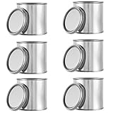 KALEMIRIS 6 pcs Metal Paint Cans with Lids 1/4 Pint Size Empty for Paint Mixture Storage Measuring