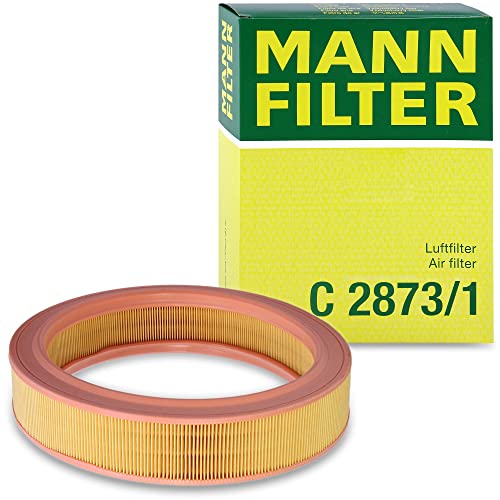 MANN-FILTER C 2873/1 Filtre à air à haute capacité de rétention