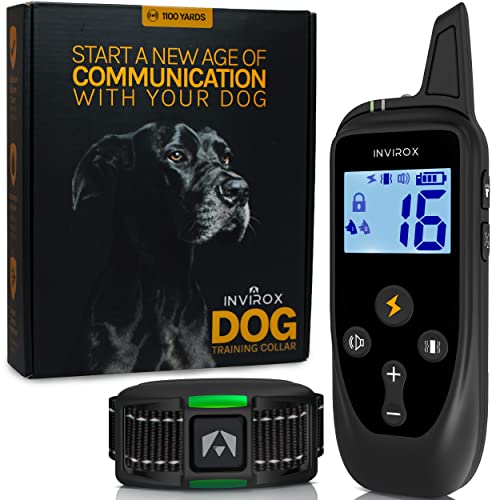 The 10 Best Dog Training Collar of 2023 Review Best Pet Pro