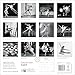 V&A: Ballet Wall Calendar 2026 (Art Calendar)