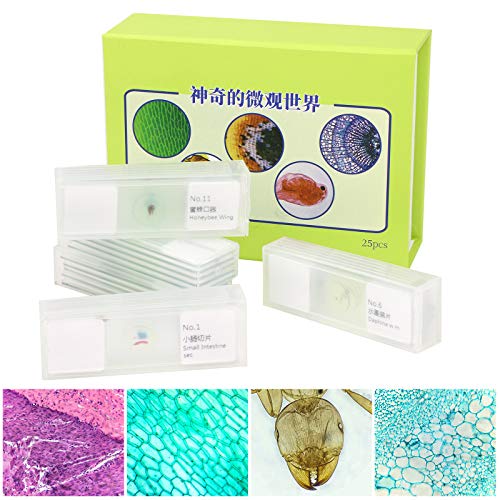 25pcs Prepared Microscope Slides Set for Biological Science Education, Basic Biology Microscope Slides with Specimens Set for Kids Students for Nature Home School Lab Demonstration