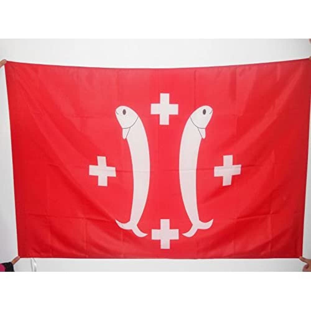 AZ FLAG - Principality of Salm-Salm Flag - 3x5 Ft - Salm Banner with Sleeve - 100% Polyester - Fade Resistant - Vivid Colors - 3' x 5' Feet - 150x90 Cm