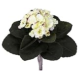 Nearly Natural 9” African Violet (Set of 6) Artificial Plant Cream