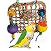 Super Bird Creations SB965 Mini Seagrass Foraging Wall Bird Toy, Small/Medium Bird Size, 8