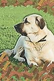 Photo Gallery anatolian shepherd dog lovers blank lined journal notebook: a daily diary, composition or log book, gift idea for people who love anatolian shepherd dogs and puppies!! Photo Gallery anatolian shepherd dog lovers blank lined journal notebook: a daily diary, composition or log book, gift idea for people who love anatolian shepherd dogs and puppies!!
