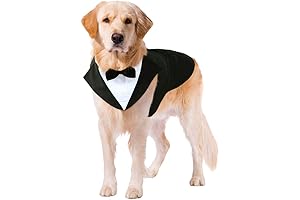 Kuoser: The Ultimate Dog Costume for Elegant Occasions