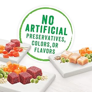 Purina Beneful Wet Dog Food Variety Pack Chopped Blends 12 10 oz Tubs