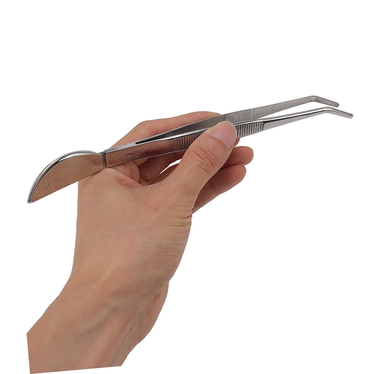 Happyyami 6pezzi Pinzette Per Bonsai Acciaio Inossidabile Strumenti Per Giardinaggio Ergonomici e Pratici Per Delle Piante Per Lavori Di Precisione e Manutenzione Di Terreni e Muschi