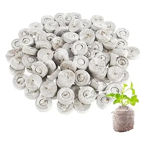 Selbstversorgerladen 200 Stück Kokos Quelltabletten