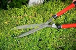 Corona HS 3950 Hedge Shear with Extendable Steel Handles, 10-Inch Blade