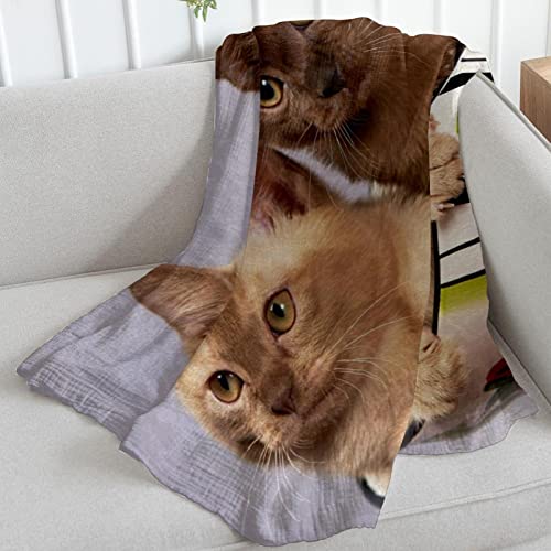 Couverture en peluche chats pour couple en microfibre douce TBOUOBT - 6