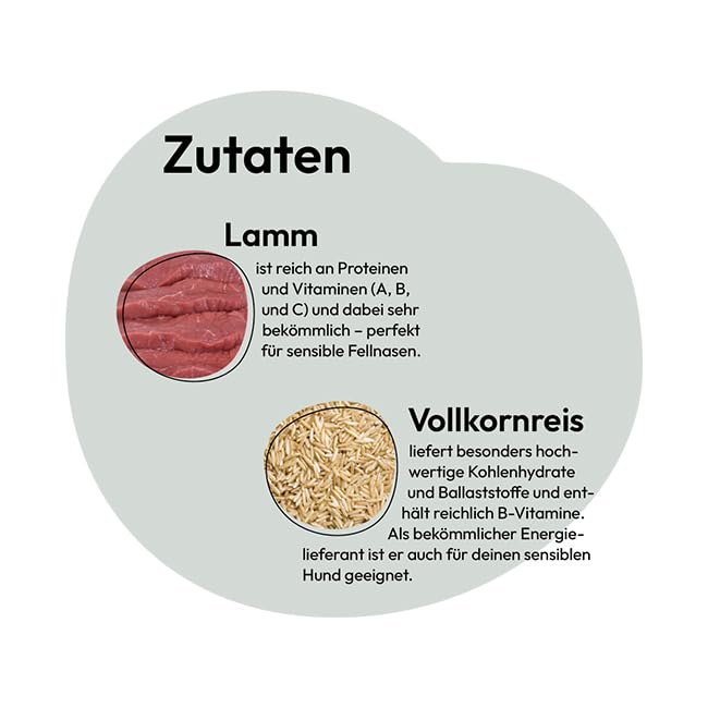 GRAU – das Original – Nassfutter für Hunde - Lamm mit Vollkornreis, 6er Pack (6 x 800 g), Monoprotein, glutenfrei, für erwachsene Hunde