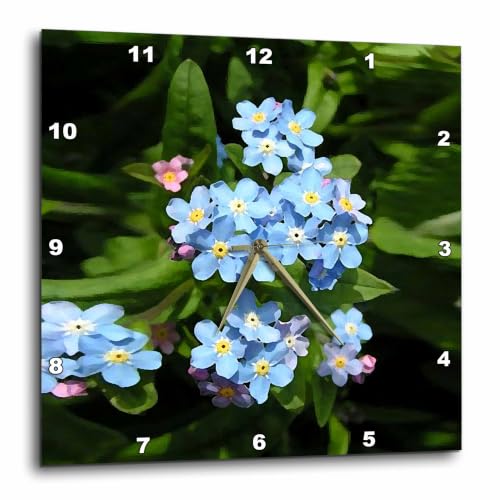 3dRose dpp_4193_3 Forget Me Not-Wall Clock, 15 by 15-Inch
