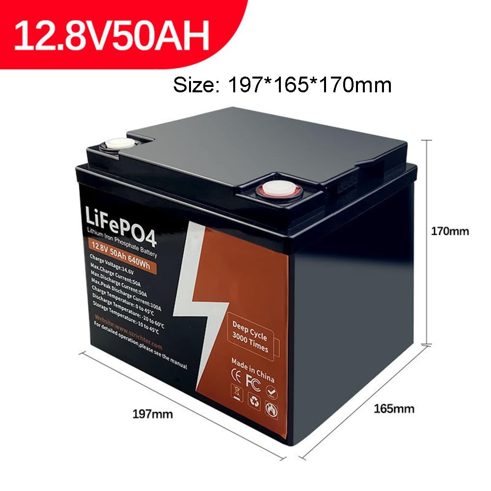 Batterie Lithium-Fer-Phosphate LiFePO4 12,8 V 50 Ah 100 Ah 200 Ah 2560 Wh pour Camping-Car, Marine, Camping, Stockage d'énergie Domestique,12.8v,50Ah