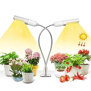 Niello 50 W plantenlamp, Upgrade Grow Light Full Spectrum, aanbouwlamp en dubbele kop met verwisselbare gloeilamp E27…