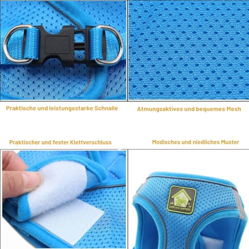 FEimaX Hundegeschirr mit Leine für Kleine Mittele Hunde Katzen Weich Mesh Welpengeschirr Atmungsaktive Brustgeschirr Verstellbare Reflektierend No Pull Weste Chihuahua Katze