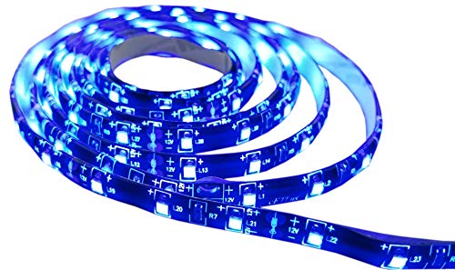 BLUE 12 volt RV Auto Motorcycle Trailer LED Camper Awning Boat 72