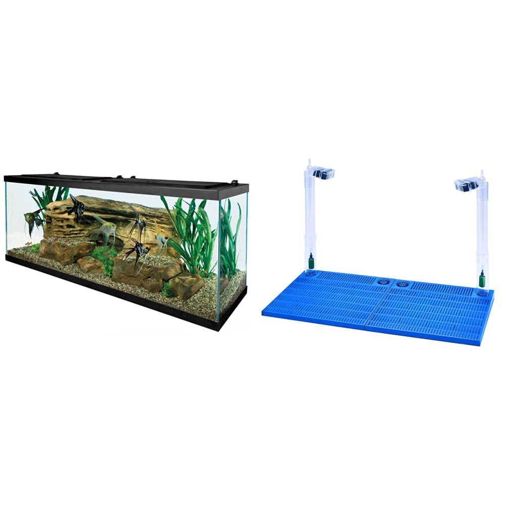 Buy Tetra 55 Gallon Aquarium Kit & PennPLAX Undergravel Aquarium Filter for 40 55 Gallon
